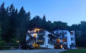 Hotel Trei Brazi